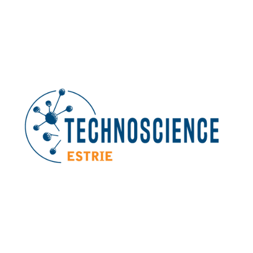 technoscience